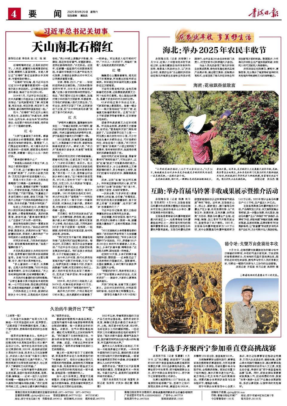 以旅带消的 以旅带消的