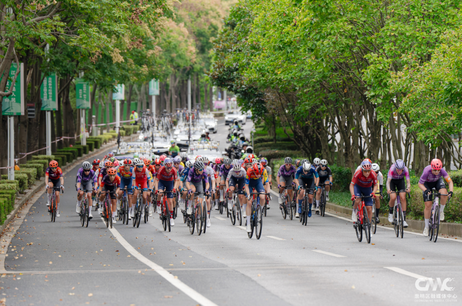 arksp, xyutW arksp, xyutW